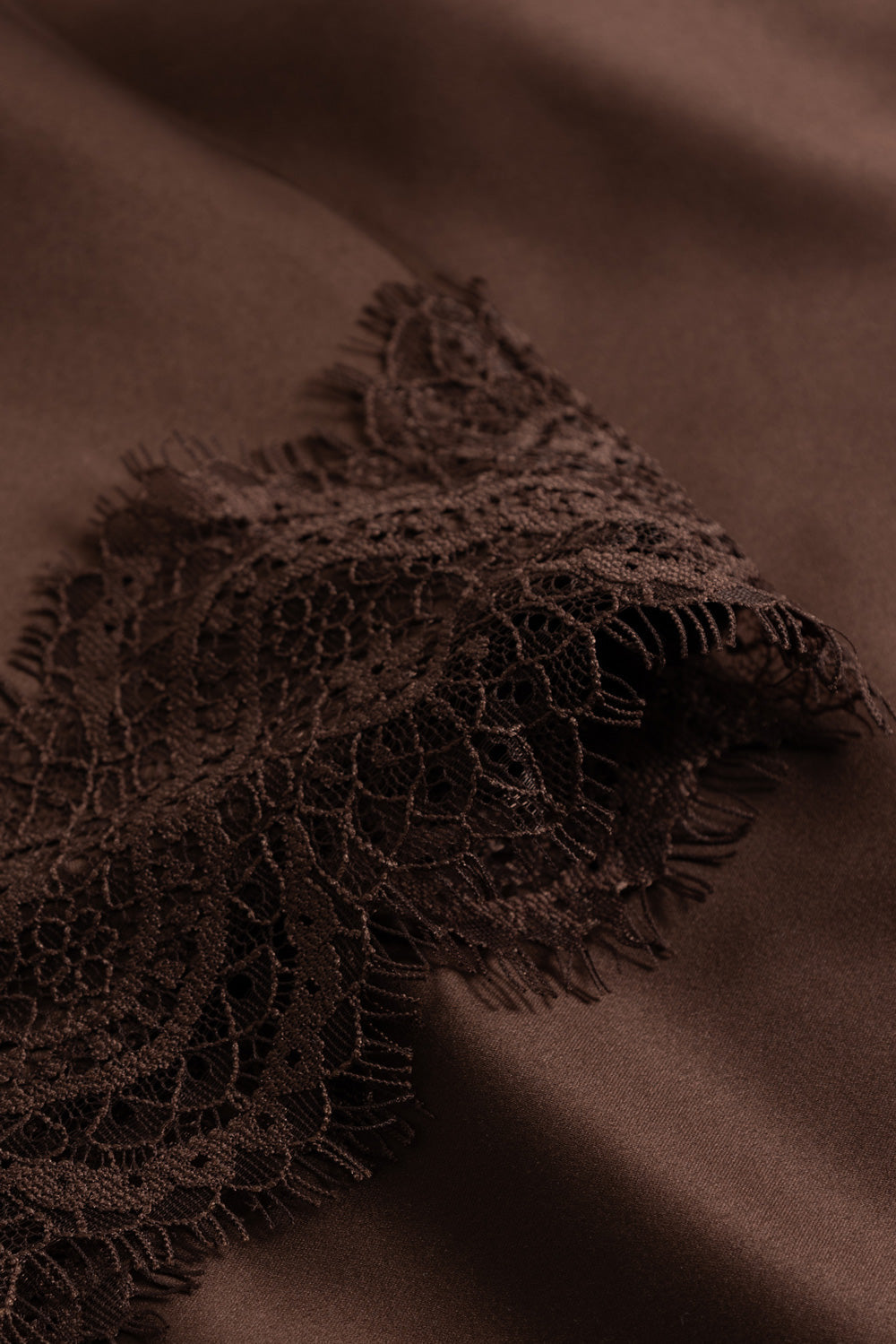 closeup