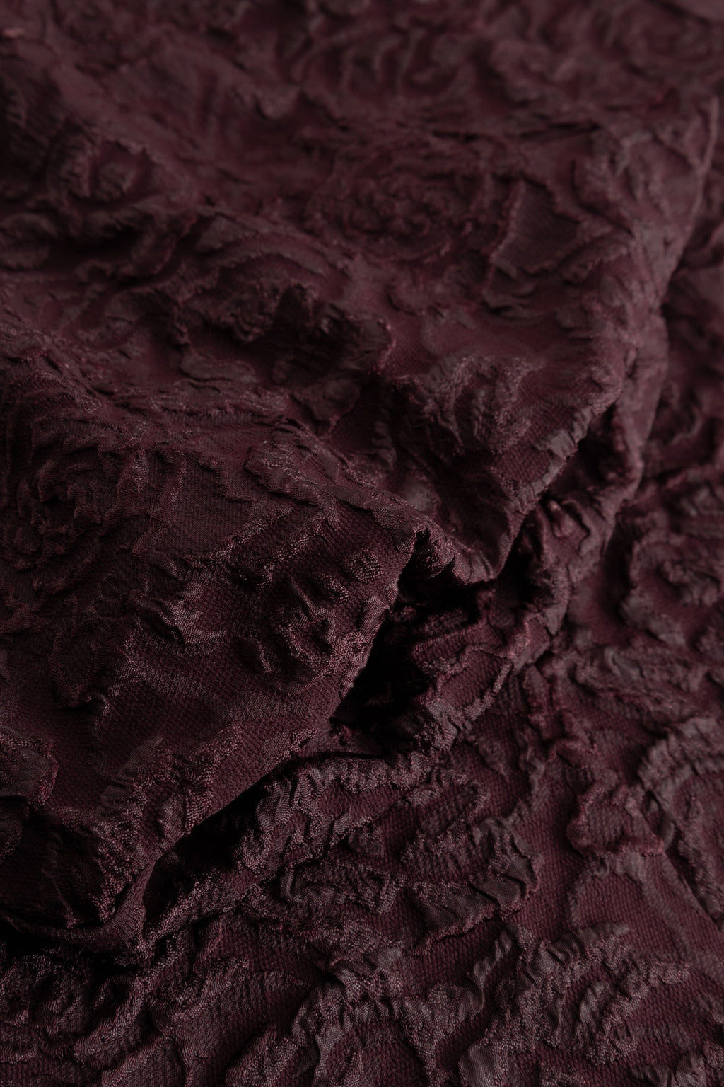 closeup