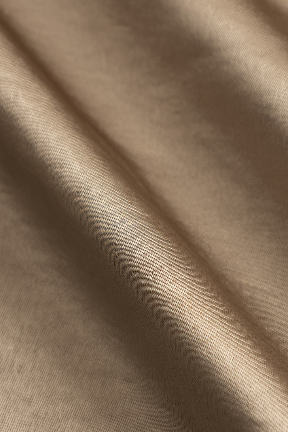 closeup